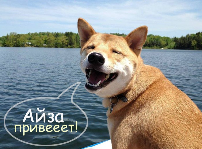 Айза, привет! Айза, привет!