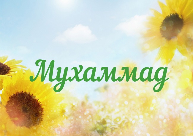 Открытка с именем Мухаммад Открытка с именем Мухаммад