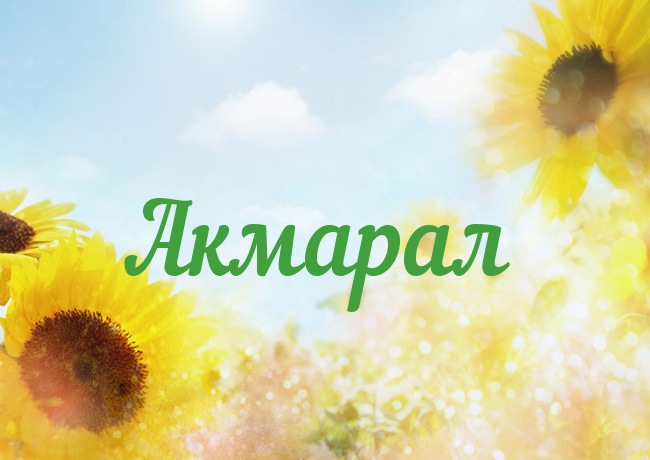 �������� � ������ �������