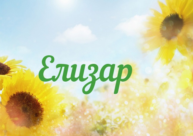 �������� � ������ ������