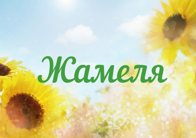 Открытка с именем Жамеля Открытка с именем Жамеля