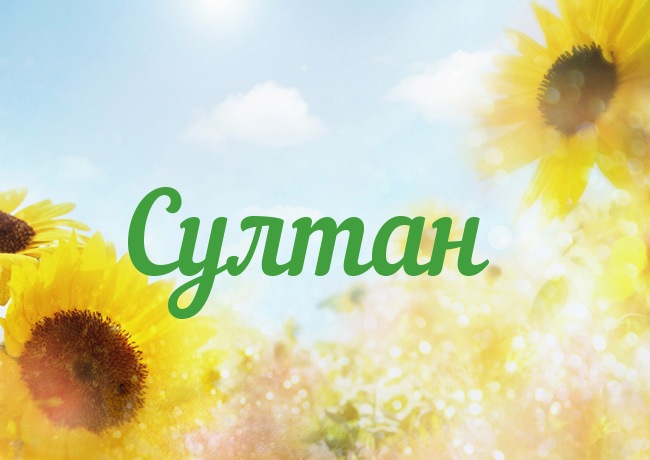 Открытка с именем Султан Открытка с именем Султан