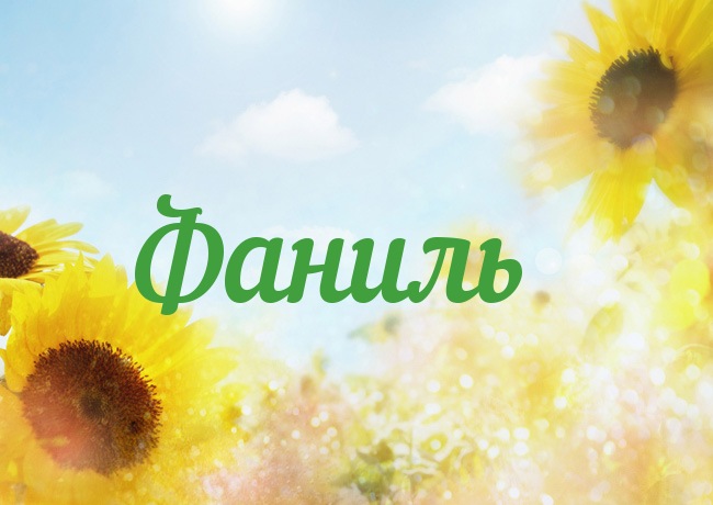 Открытка с именем Фаниль Открытка с именем Фаниль