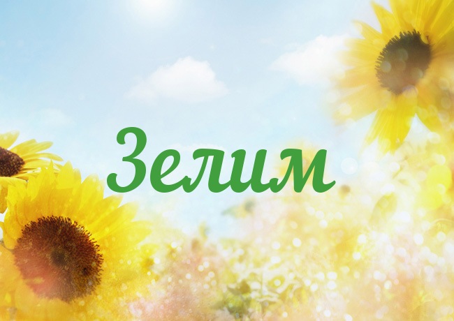 Открытка с именем Зелим Открытка с именем Зелим