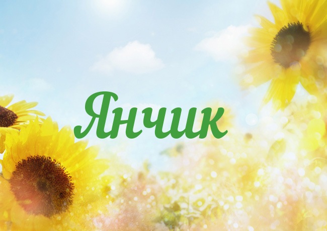 Открытка с именем Янчик Открытка с именем Янчик