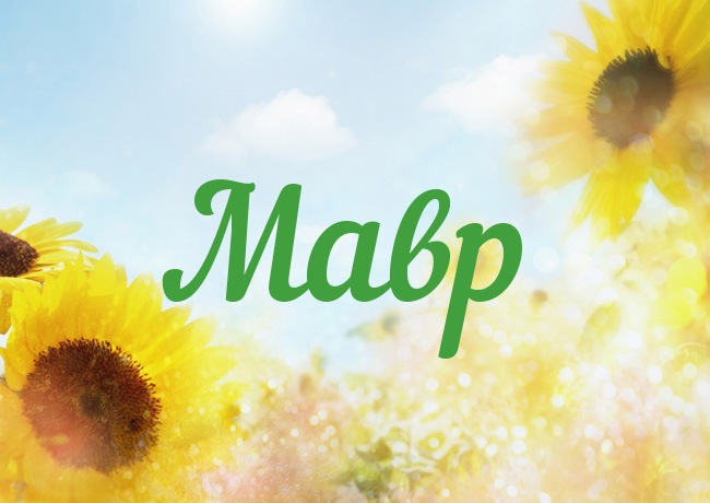 �������� � ������ ����