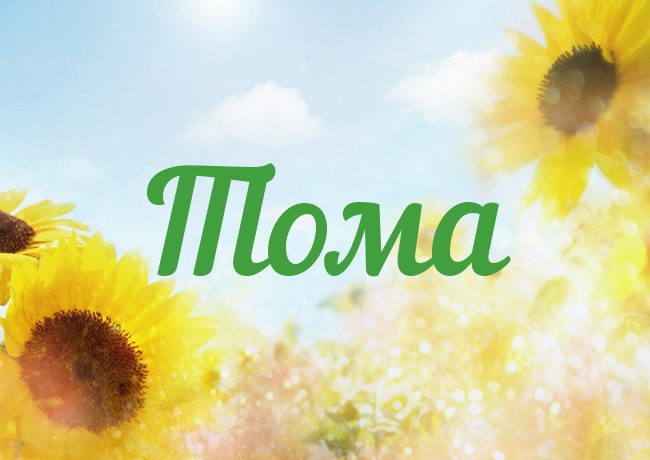 �������� � ������ ����