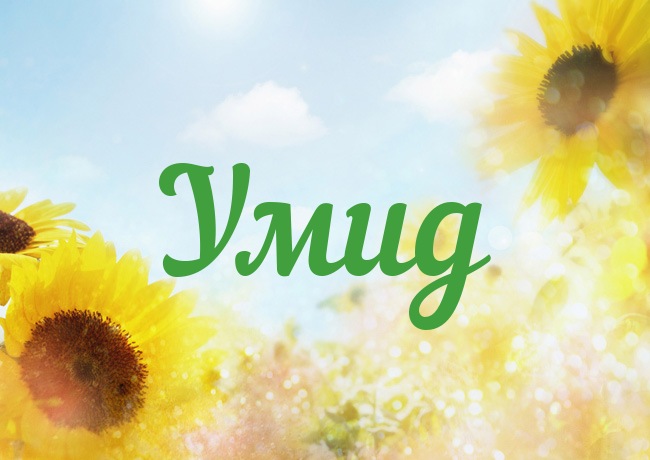 �������� � ������ ����