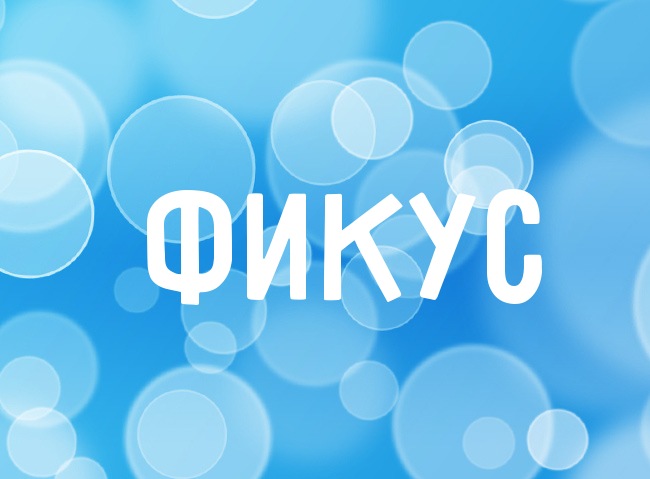 Нежная аватарка с именем Фикус