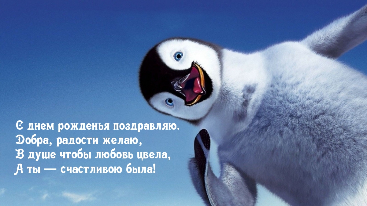 ���� ����������! � ���� ��������!