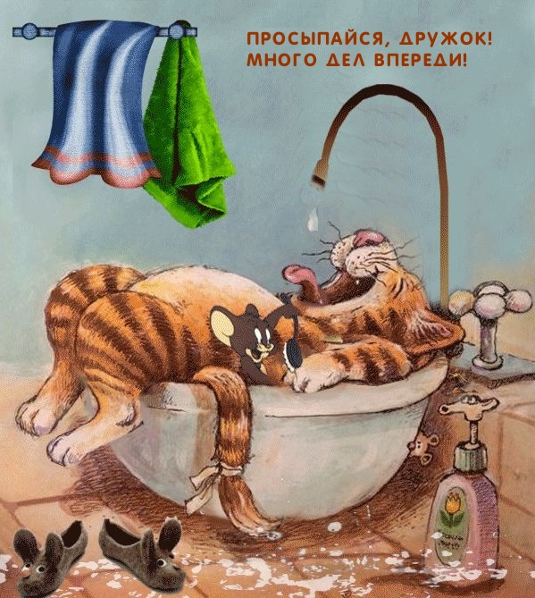Просыпайся, дружок! Много дел впереди! Просыпайся, дружок! Много дел впереди!