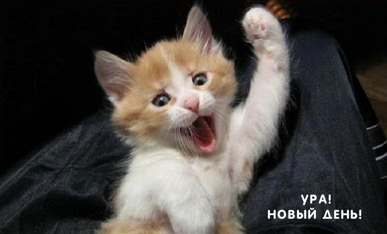 Ура! Новый День!