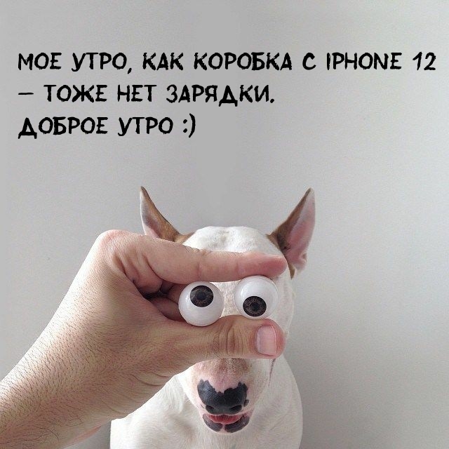  ,    iPhone 12