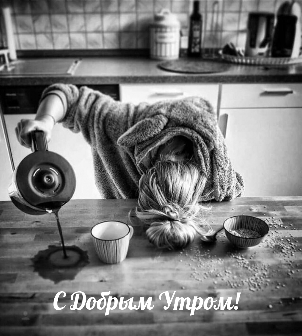 с добрым утром и хорошим днем позитив женщине с юмором новые. Смотреть фото с добрым утром и хорошим днем позитив женщине с юмором новые. Смотреть картинку с добрым утром и хорошим днем позитив женщине с юмором новые. Картинка про с добрым утром и хорошим днем позитив женщине с юмором новые. Фото с добрым утром и хорошим днем позитив женщине с юмором новые