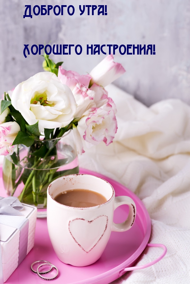 Доброго утра! Хорошего настроения! Доброго утра! Хорошего настроения!