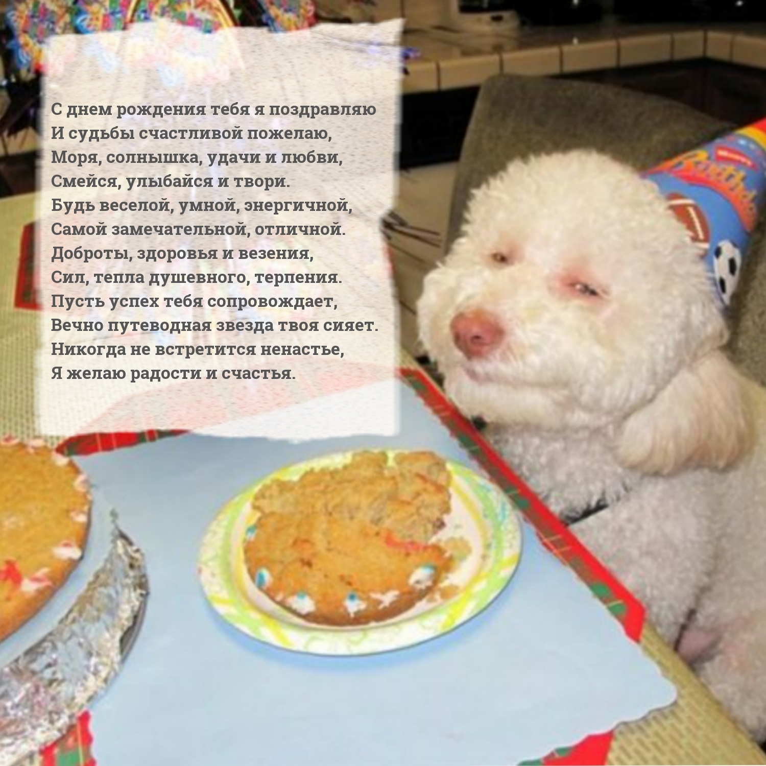 С днем рождения тебя я поздравляю! С днем рождения тебя я поздравляю!