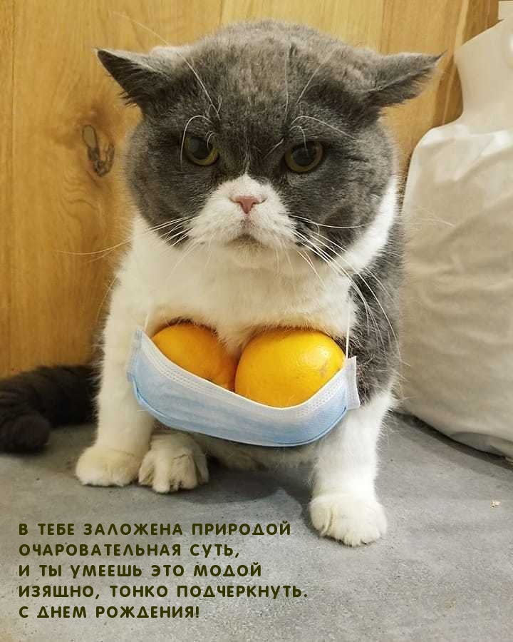 С днем рождения! Ты очаровательна! Прикольные слова