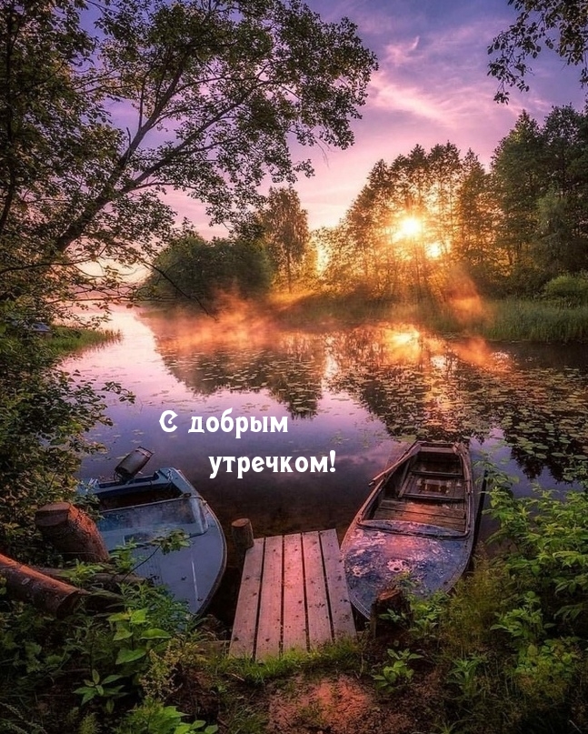 С добрым утречком! С добрым утречком!
