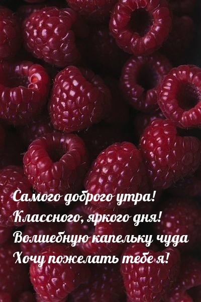 Самого доброго утра! яркого дня! Самого доброго утра! яркого дня!