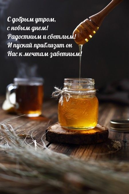 С добрым утром, с новым днем!