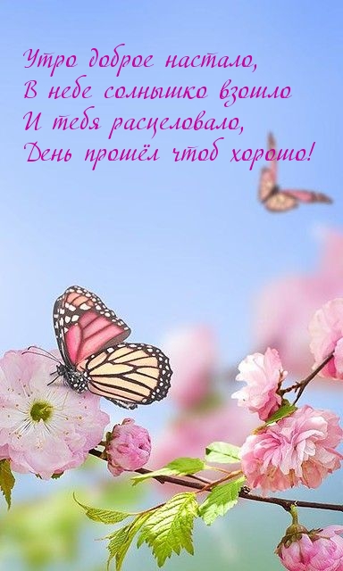 Утро доброе настало! День прошёл чтоб хорошо! Утро доброе настало! День прошёл чтоб хорошо!