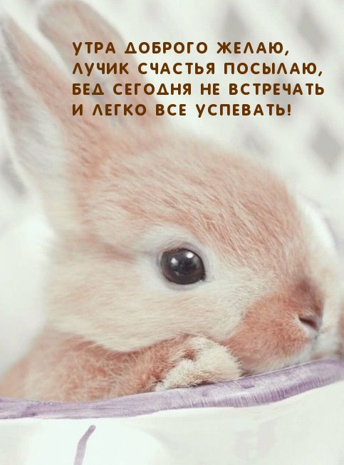Утра доброго желаю,! Все легко успевать!