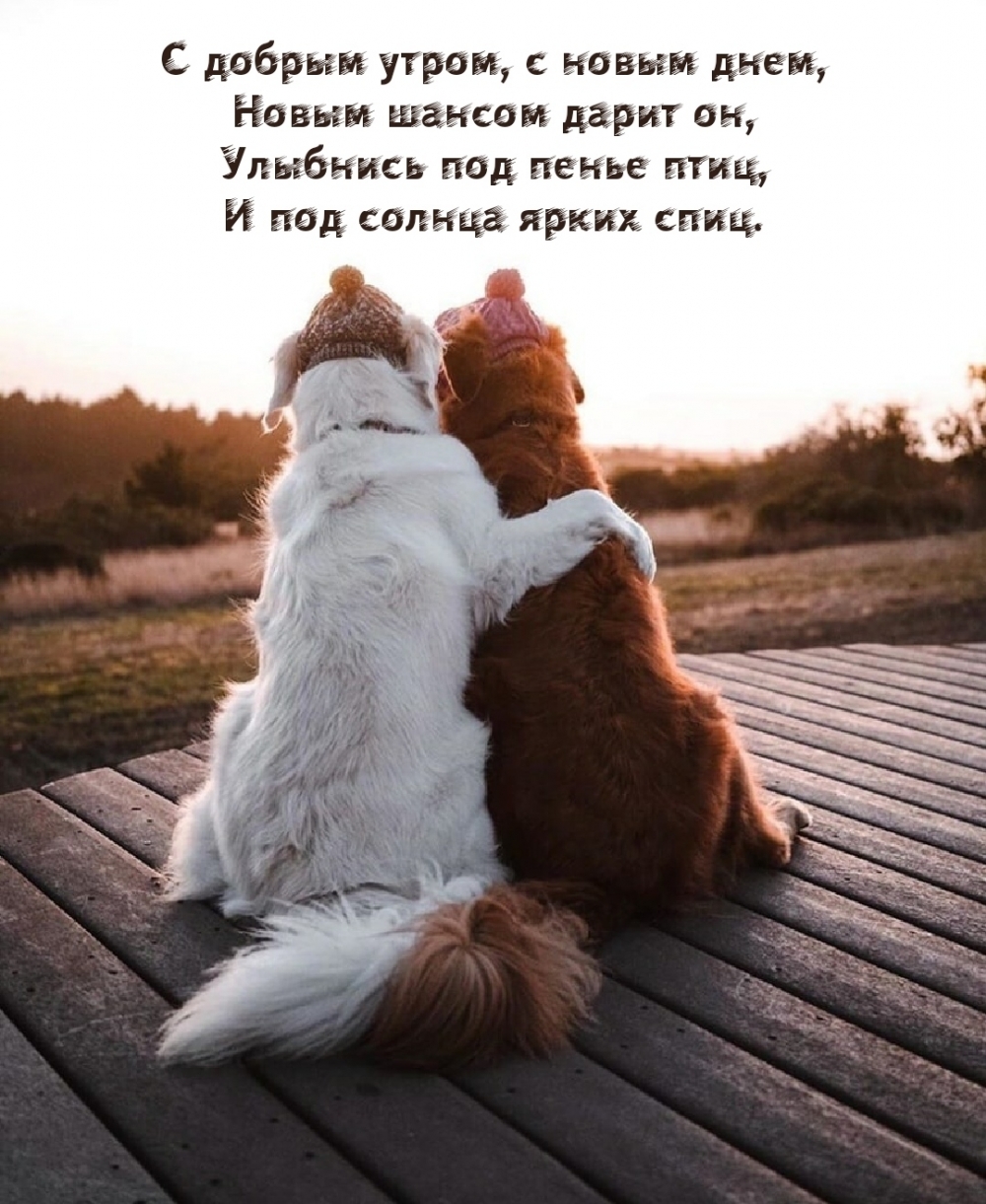 С добрым утром, с новым днем! С добрым утром, с новым днем!
