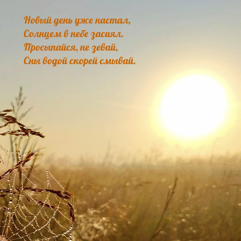 Новый день уже настал! Просыпайся Новый день уже настал! Просыпайся