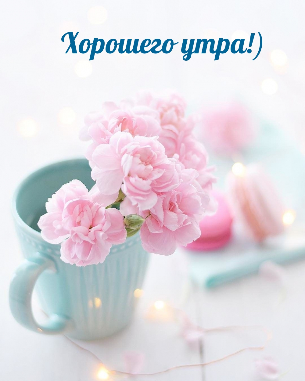 Хорошего утра!) Хорошего утра!)