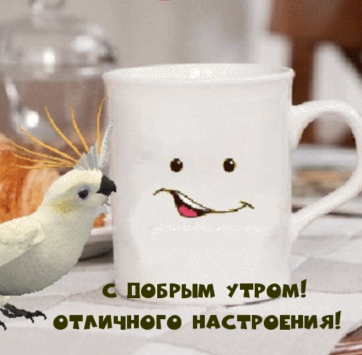 С добрым утром! Отличного настроения! С добрым утром! Отличного настроения!