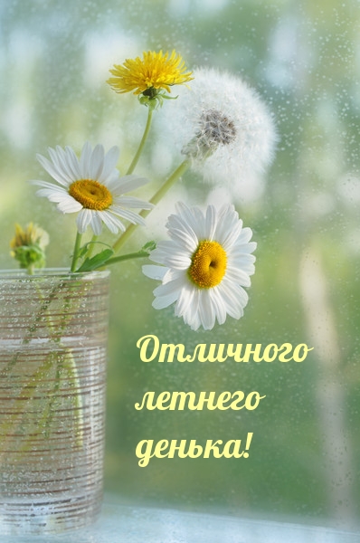 Отличного летнего денька! Отличного летнего денька!
