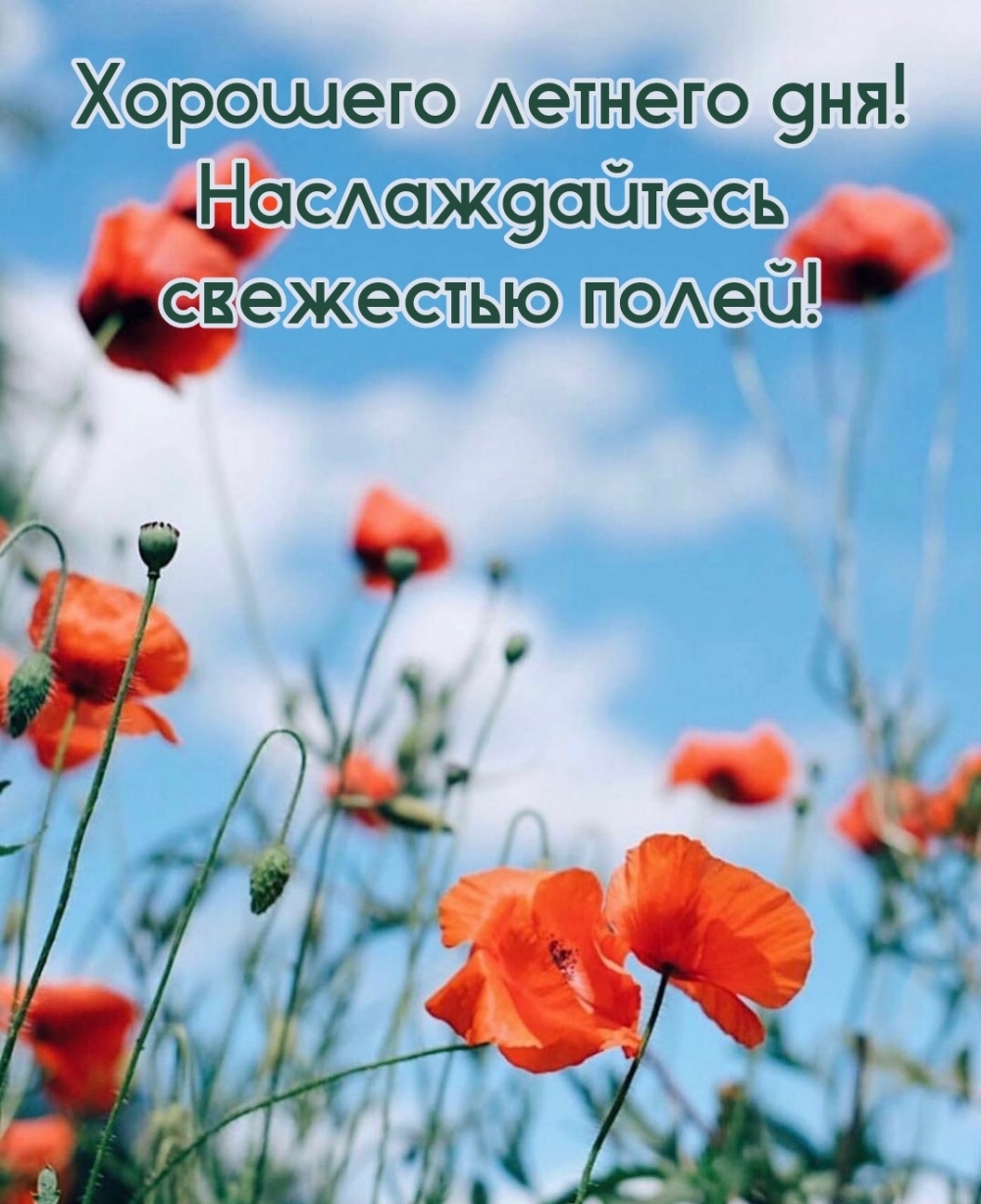 �������� ������� ���! ������������� ��������� �����!