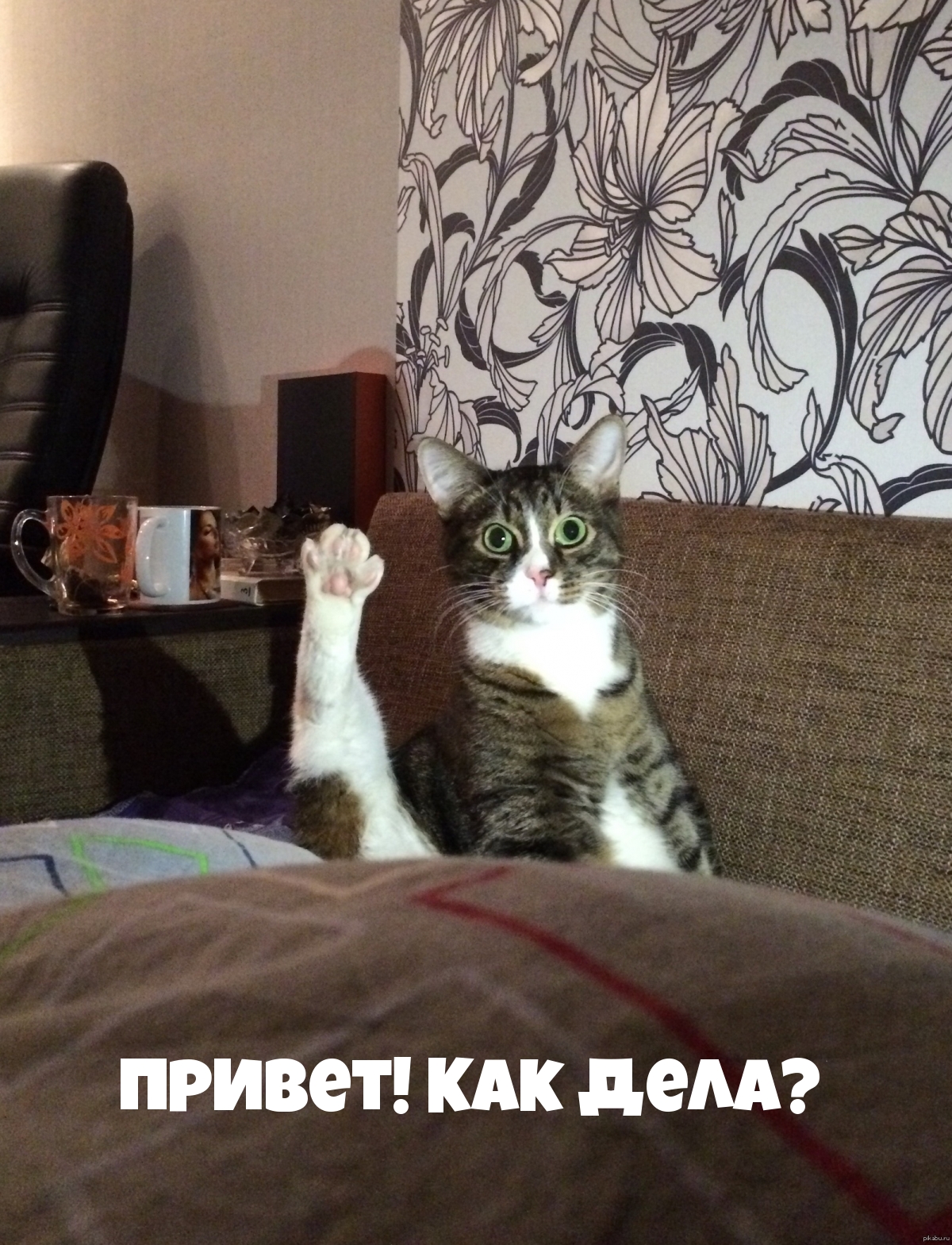 Привет! Как дела? Привет! Как дела?