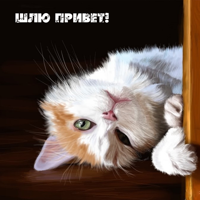 Шлю привет! Шлю привет!