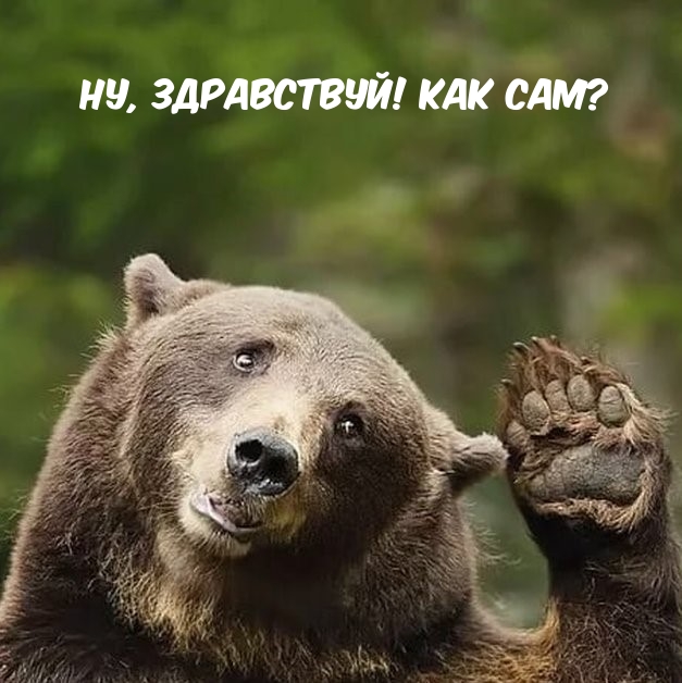 Ну, здравствуй! Как сам? Ну, здравствуй! Как сам?