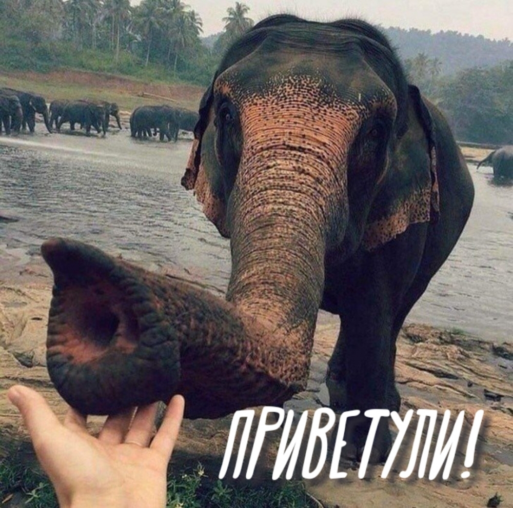 !