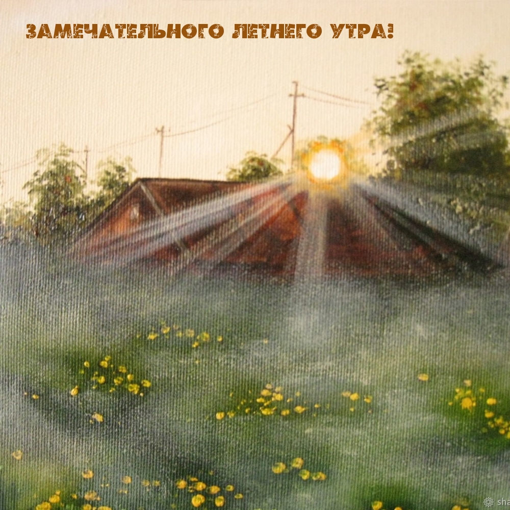 Замечательного летнего утра! Замечательного летнего утра!