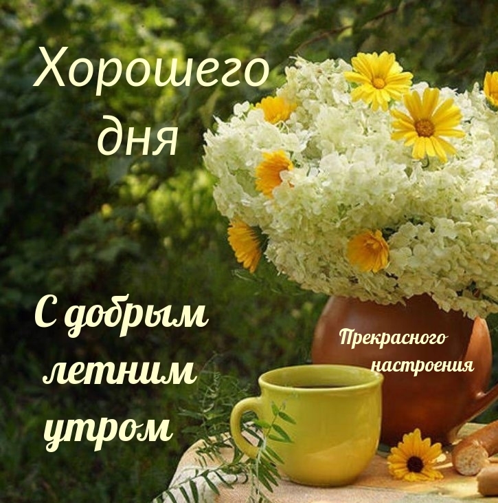 � ������ ������ ����� �������� ���