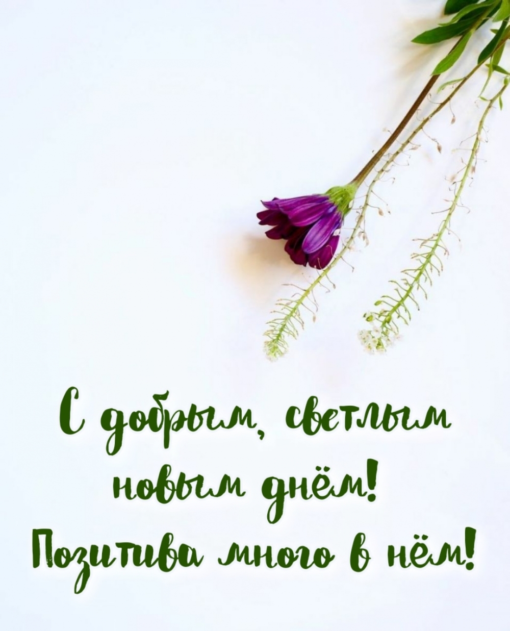 Светлого дня