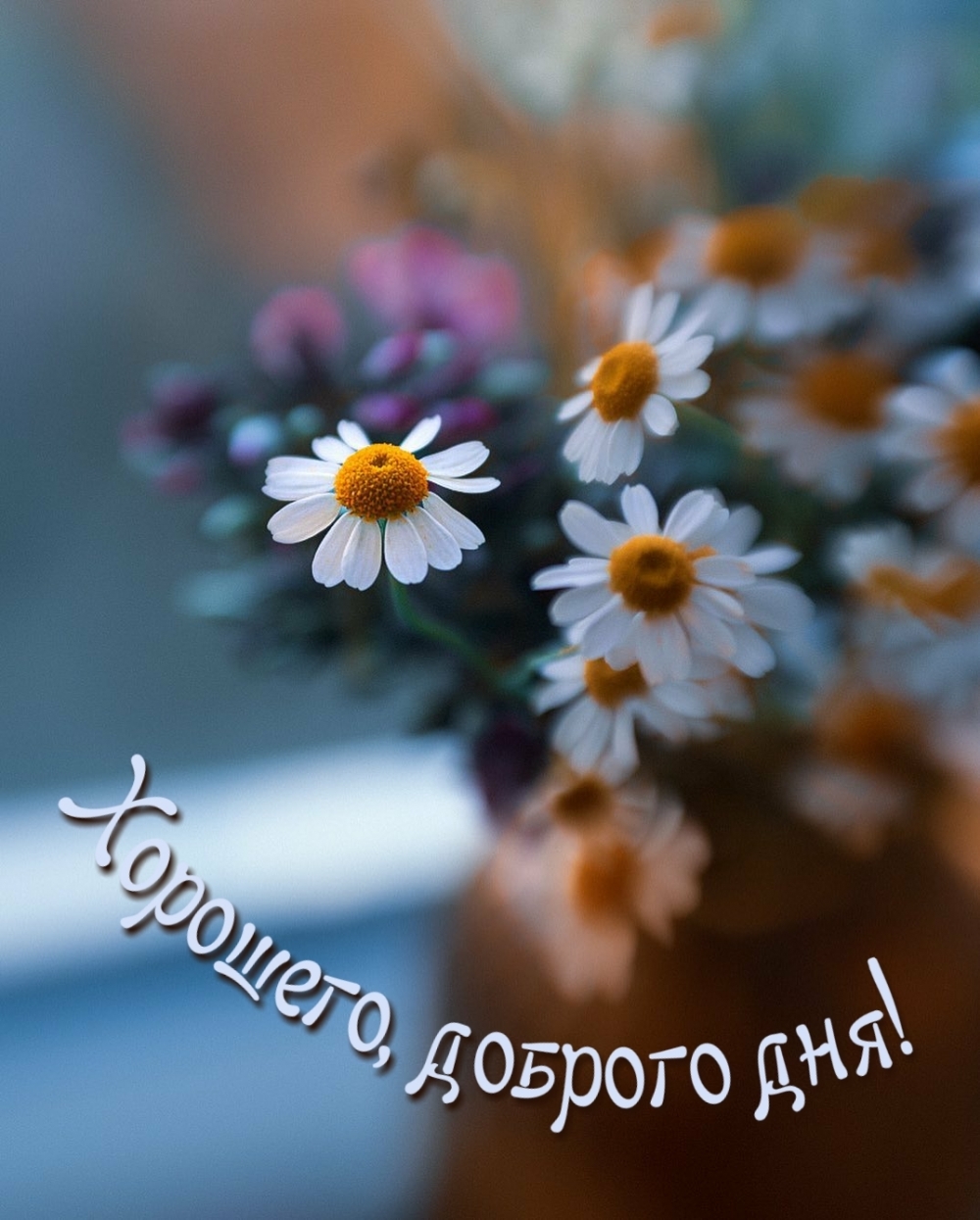 Хорошего, доброго дня! Хорошего, доброго дня!