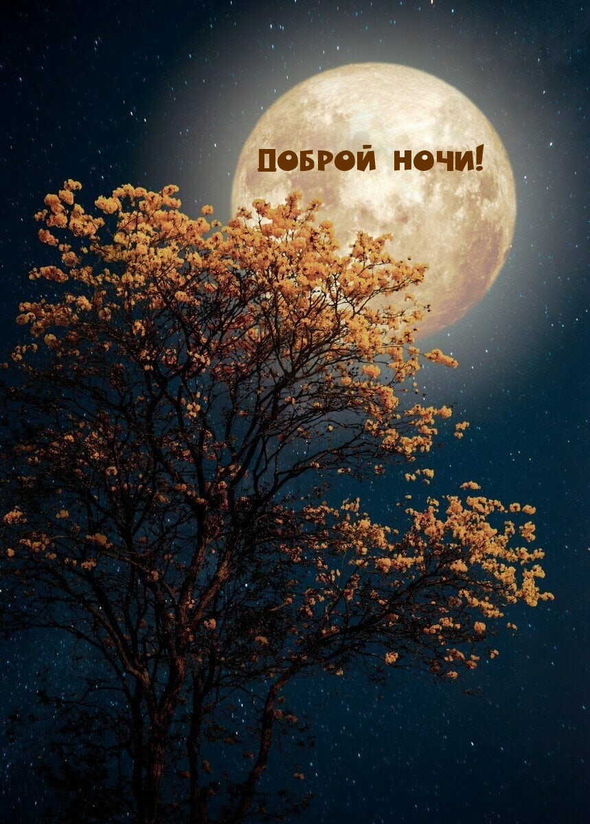 Картинки спокойной ночи сладких снов мужчине на расстоянии красивые романтичные. Смотреть фото Картинки спокойной ночи сладких снов мужчине на расстоянии красивые романтичные. Смотреть картинку Картинки спокойной ночи сладких снов мужчине на расстоянии красивые романтичные. Картинка про Картинки спокойной ночи сладких снов мужчине на расстоянии красивые романтичные. Фото Картинки спокойной ночи сладких снов мужчине на расстоянии красивые романтичные
