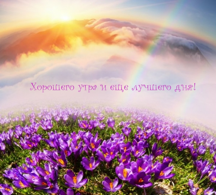 Хорошего утра и еще лучшего дня! Хорошего утра и еще лучшего дня!