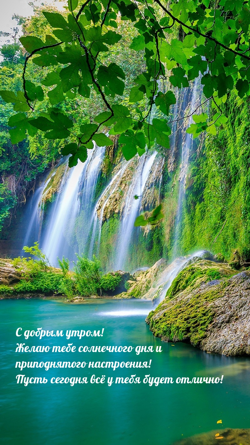С добрым утром! Желаю тебе солнечного дня С добрым утром! Желаю тебе солнечного дня