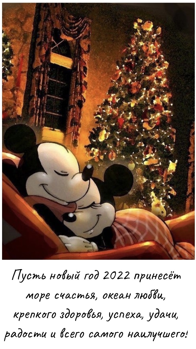 ����� ����� ��� 2022 ������� ���� �������