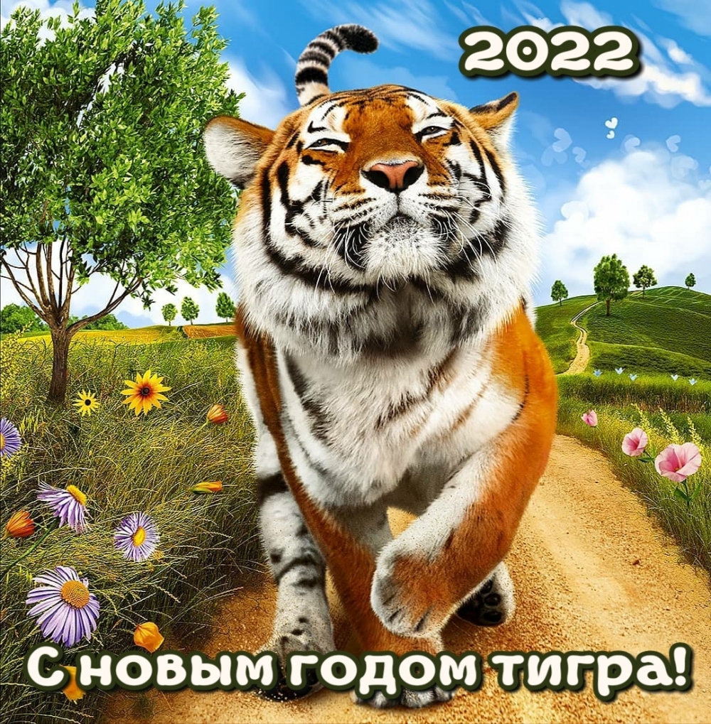 2022    !