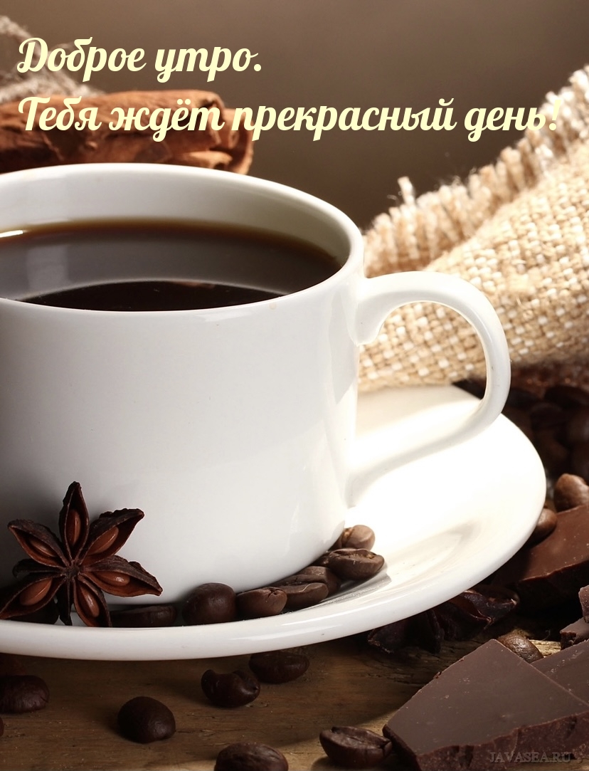 Доброе утро. Тебя ждёт прекрасный день! Доброе утро. Тебя ждёт прекрасный день!