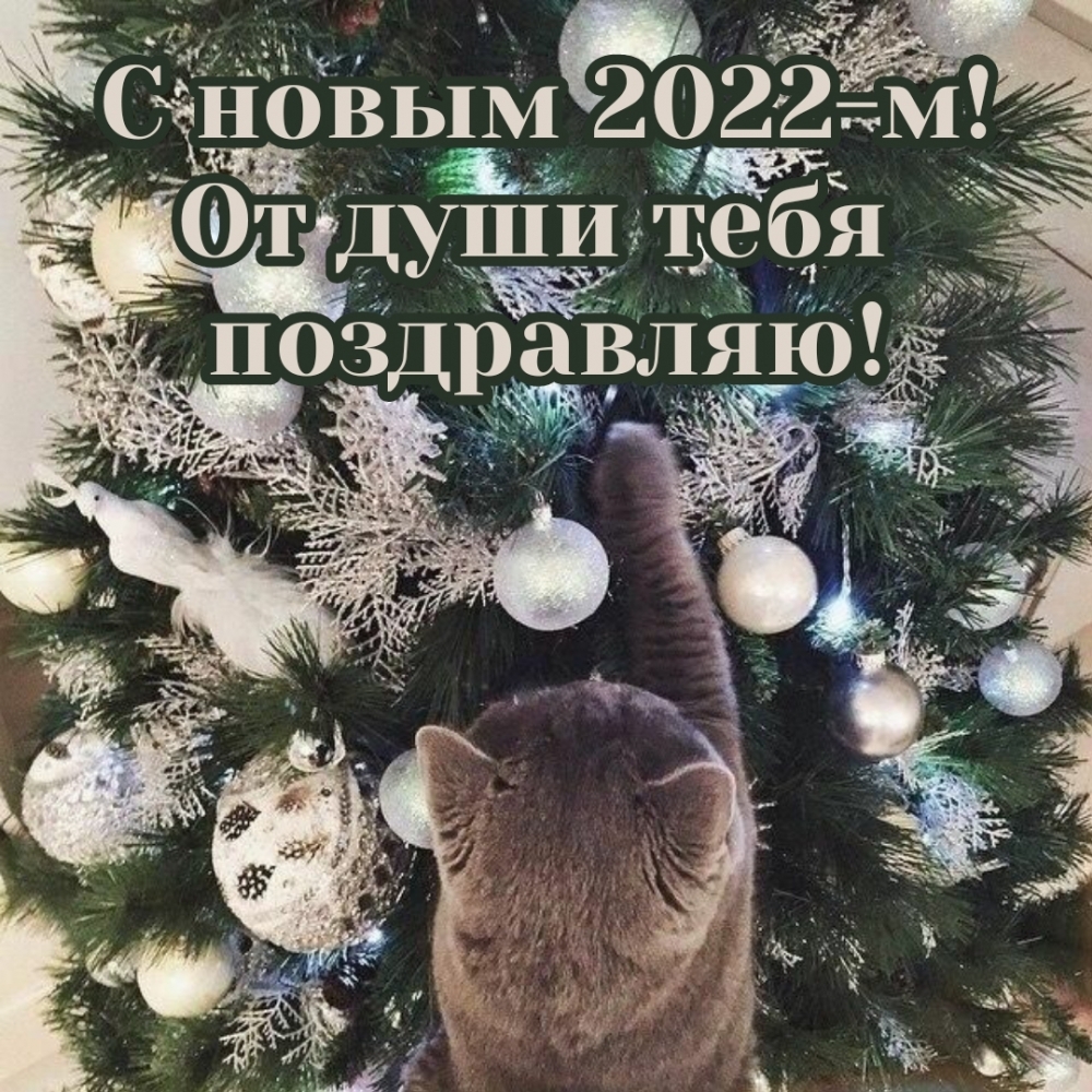   2022-!    !