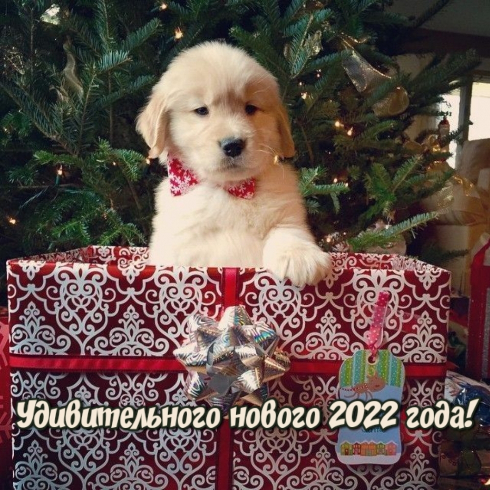 ������������� ������ 2022 ����!