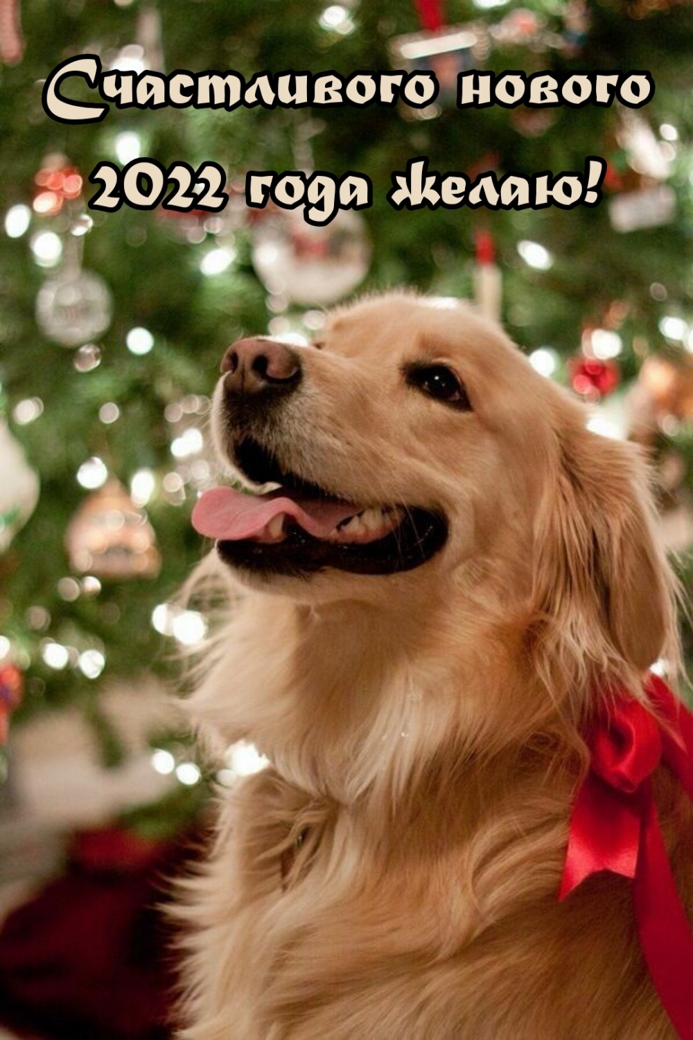 Счастливого нового 2022 года желаю! Счастливого нового 2022 года желаю!