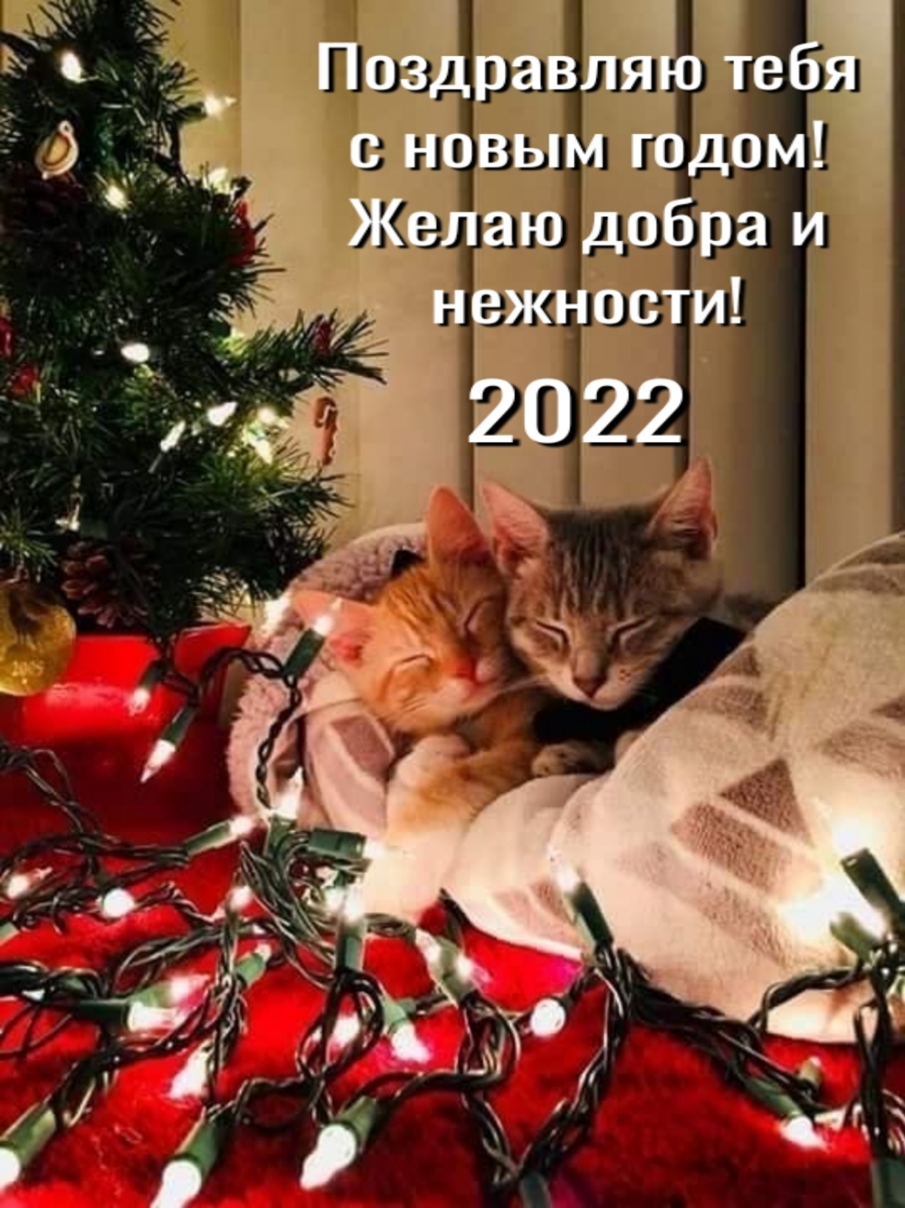     !    ! 2022